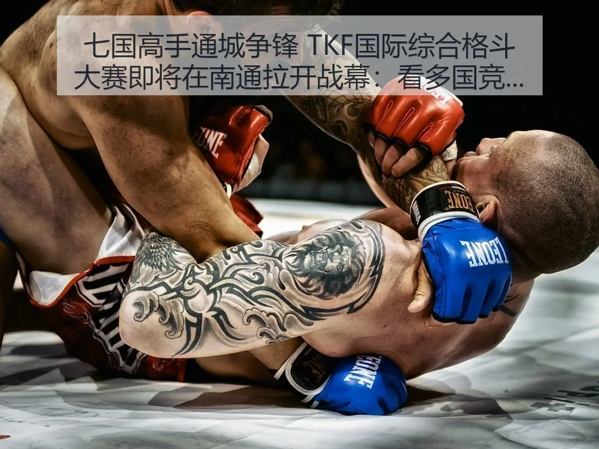 七国高手通城争锋 TKF国际综合格斗大赛即将在南通拉开战幕:看多国竞技与城市体育新热度